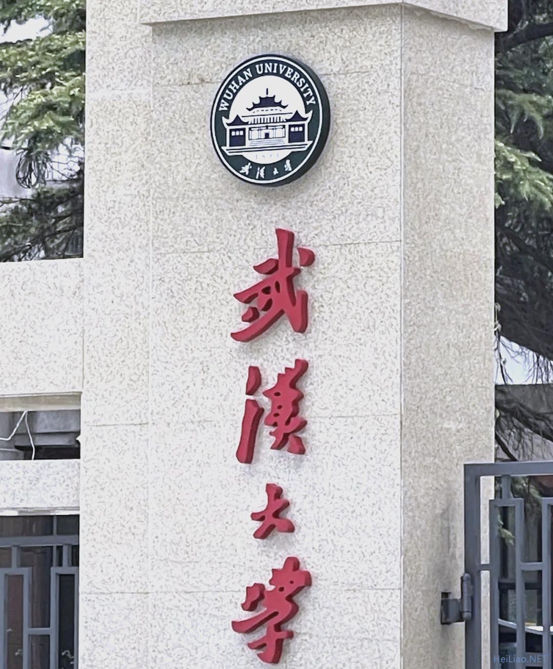 武大诬告女杨景媛再曝黑料?网传高中偷拍男厕所,评论区言论震碎三观 武大诬告女杨景媛再曝黑料?网传高中偷拍男厕所,评论区言论震碎三观