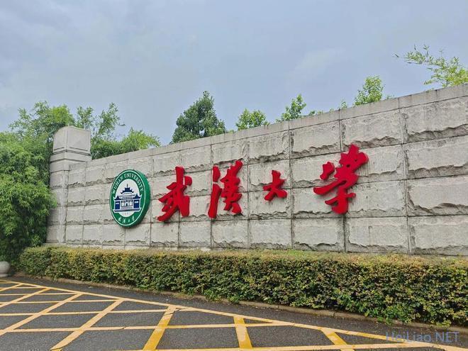 武大诬告女杨景媛再曝黑料?网传高中偷拍男厕所,评论区言论震碎三观 武大诬告女杨景媛再曝黑料?网传高中偷拍男厕所,评论区言论震碎三观